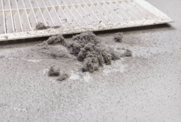 Best Emergency Air Duct Cleaning  in Newell, WV