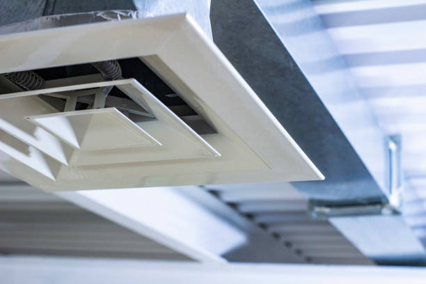 Air Duct Mold Removal in Newell, WV